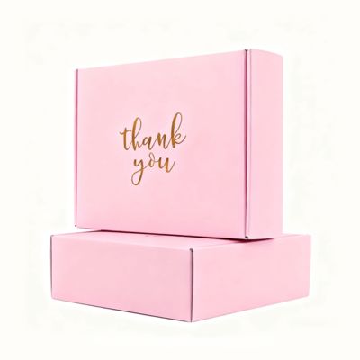 LOW MOQ Corrugated Recyclable Biodegradable Gift Packaging Shoes Clothes Sponge Lined Postal Mailer Shipping